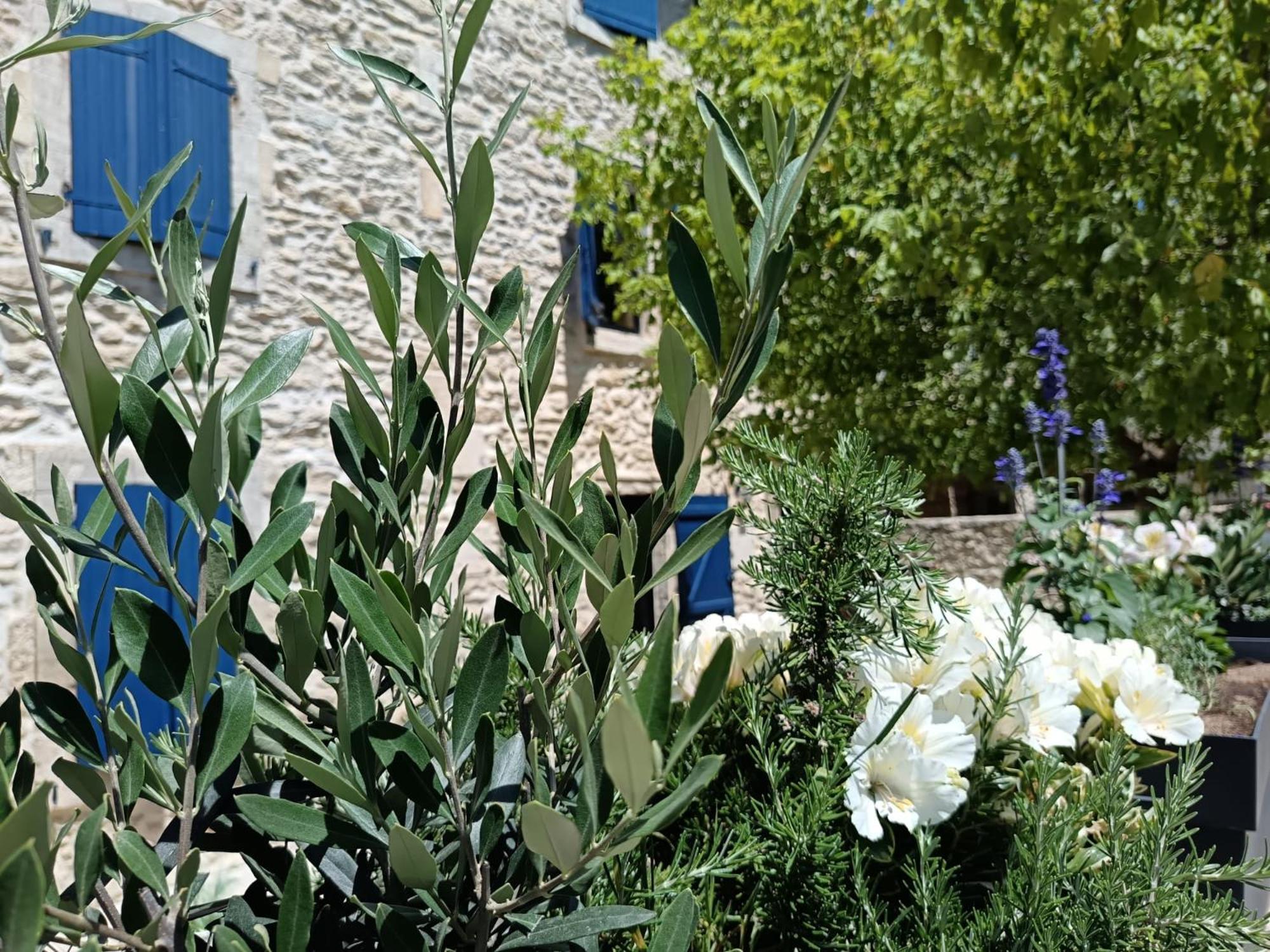 Namaste Home, Votre Havre De Paix A St Remy ! Parking Wifi Inclus Saint-Rémy-de-Provence Exteriér fotografie